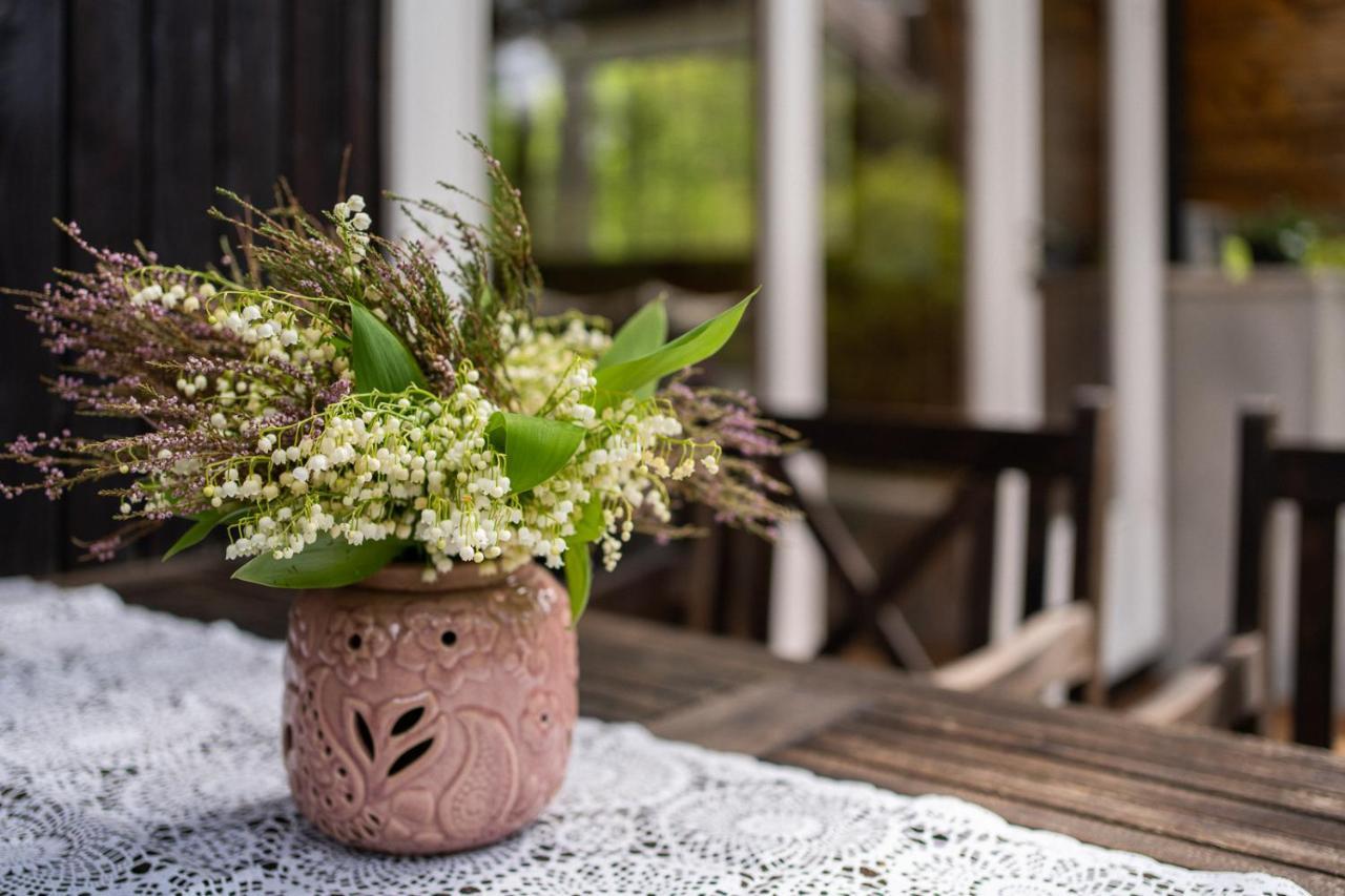 Maro Guesthouse With Sauna Vaana-Joesuu 外观 照片
